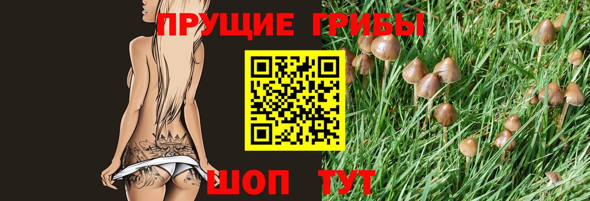 Трёхгорный  Псилоцибиновые грибы Cubensis  Вход с VPN 