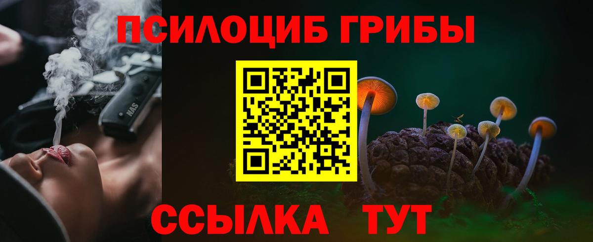 Галлюциногенные грибы прущие грибы Трёхгорный